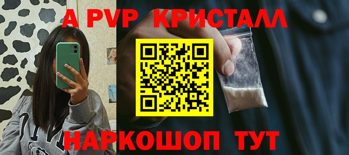 А ПВП СК Сальск