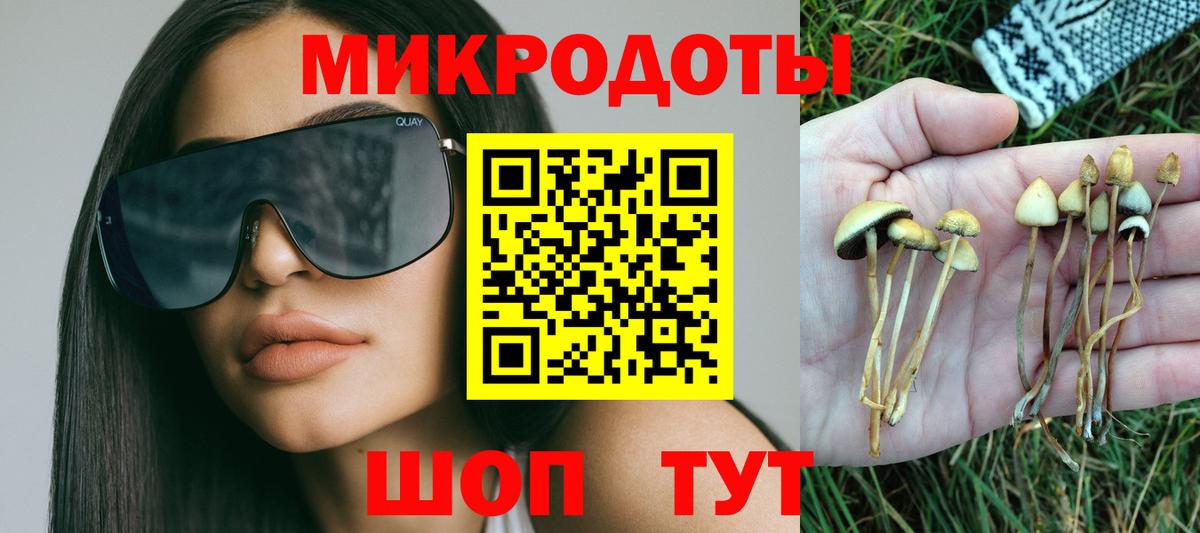 Сальск  Галлюциногенные грибы прущие грибы  Вход с VPN 